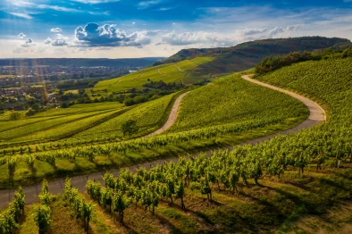 séjour côte d'or bourgogne