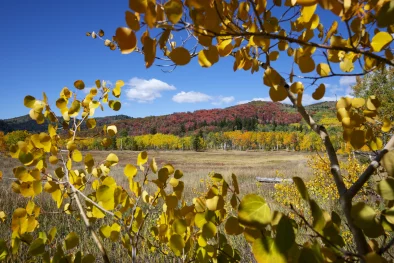 Bourgogne en automne et hiver