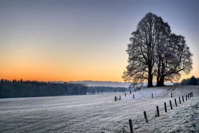bourgogne en hiver