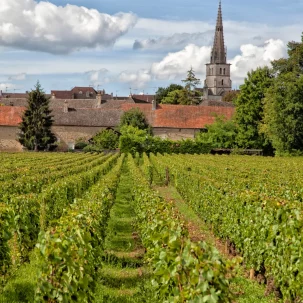 randonnee bourgogne