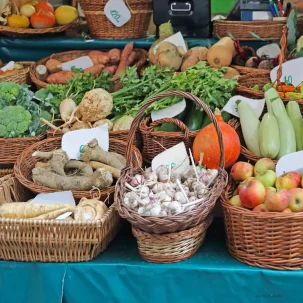 marché locaux cote d'or