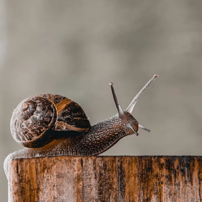 slow tourisme en cote d'or
