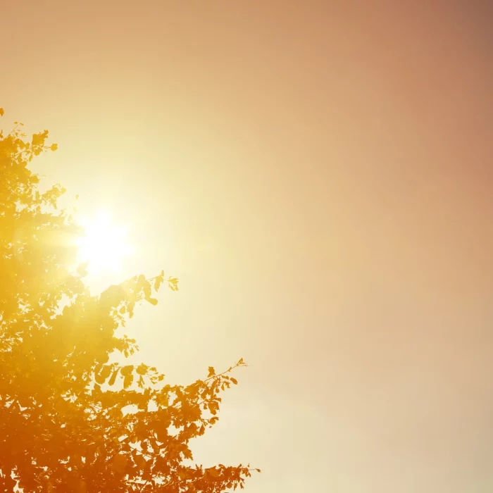 canicule en bourgogne