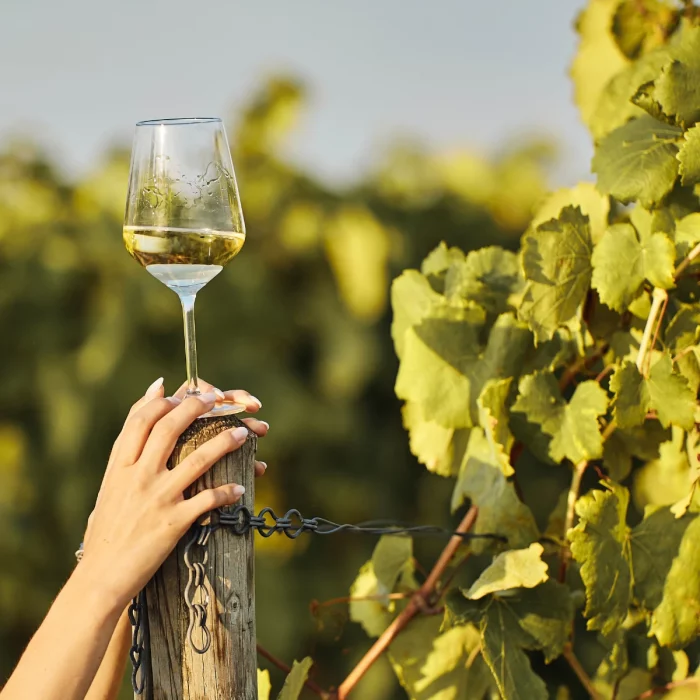 domaines bourgogne